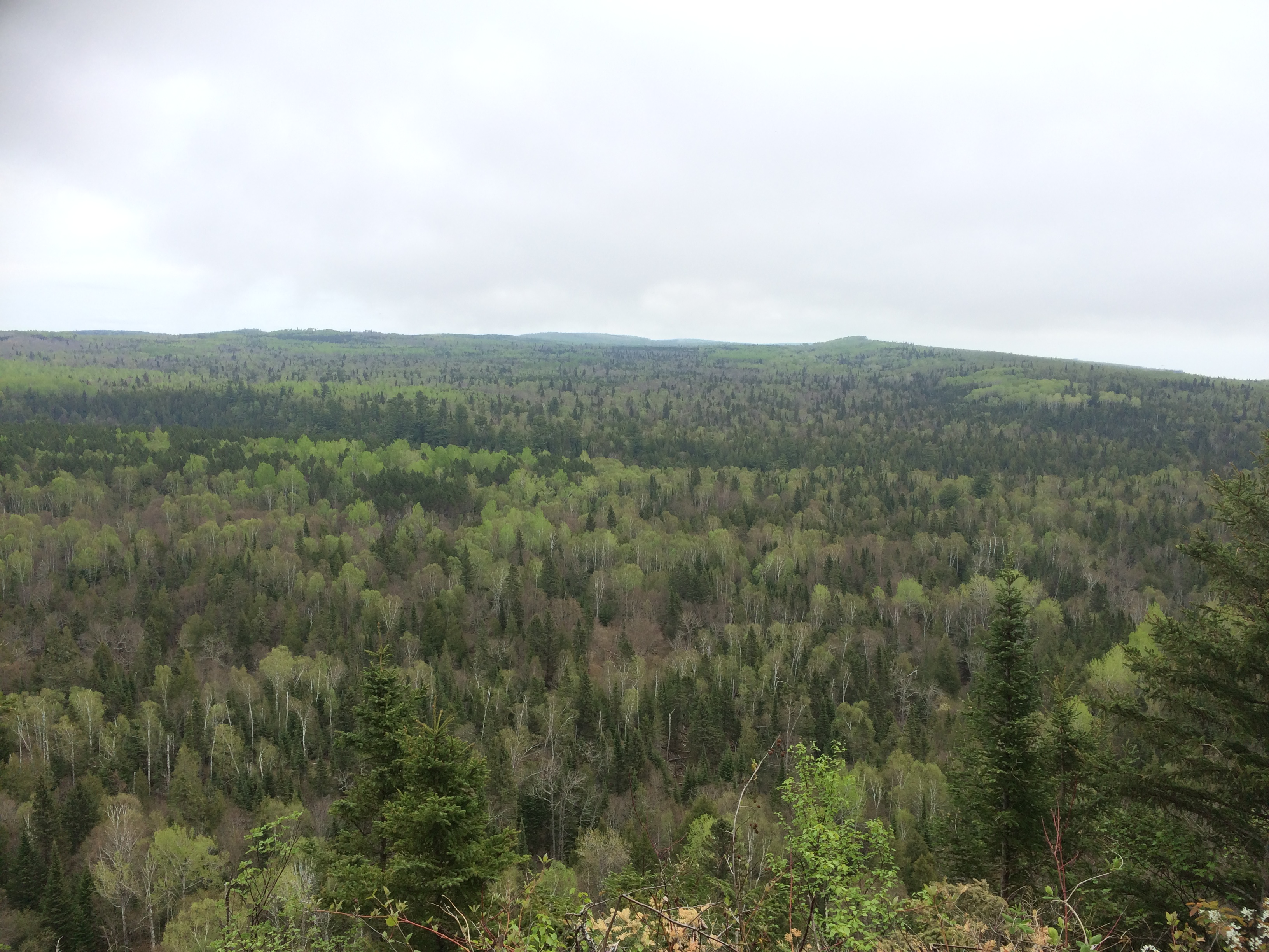 Lookout Mountain Overlook