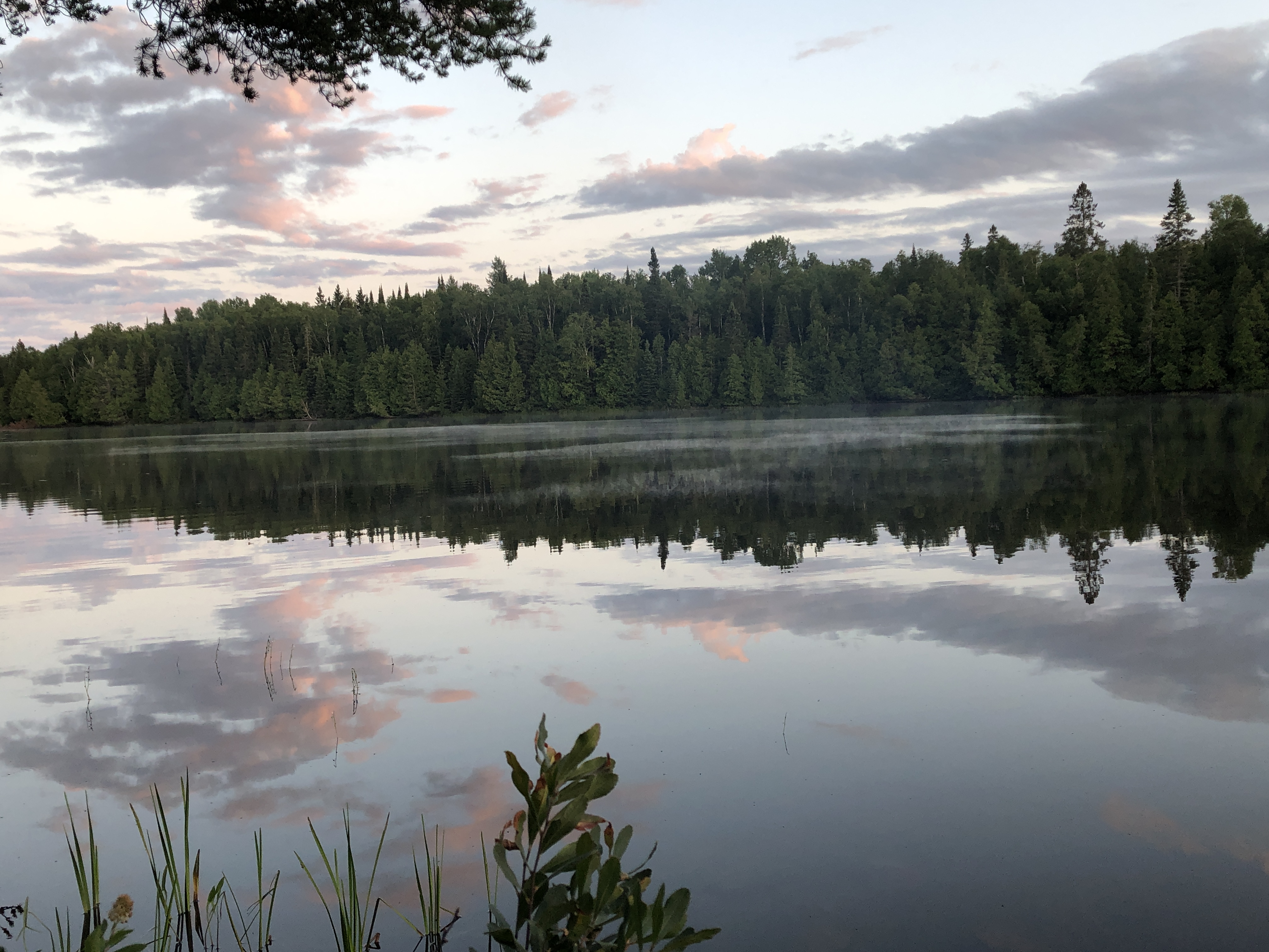 whale lake