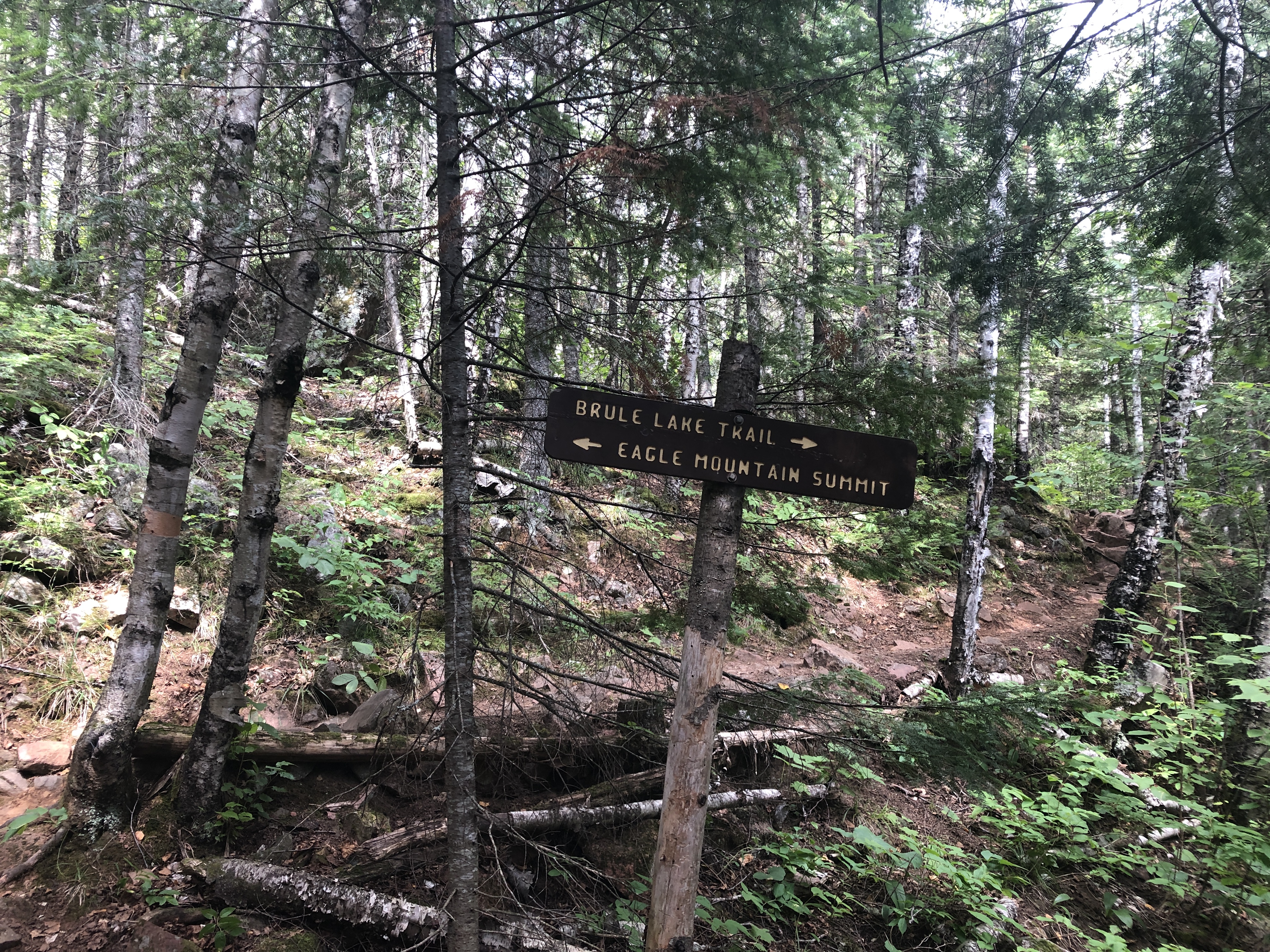 Trail Sign