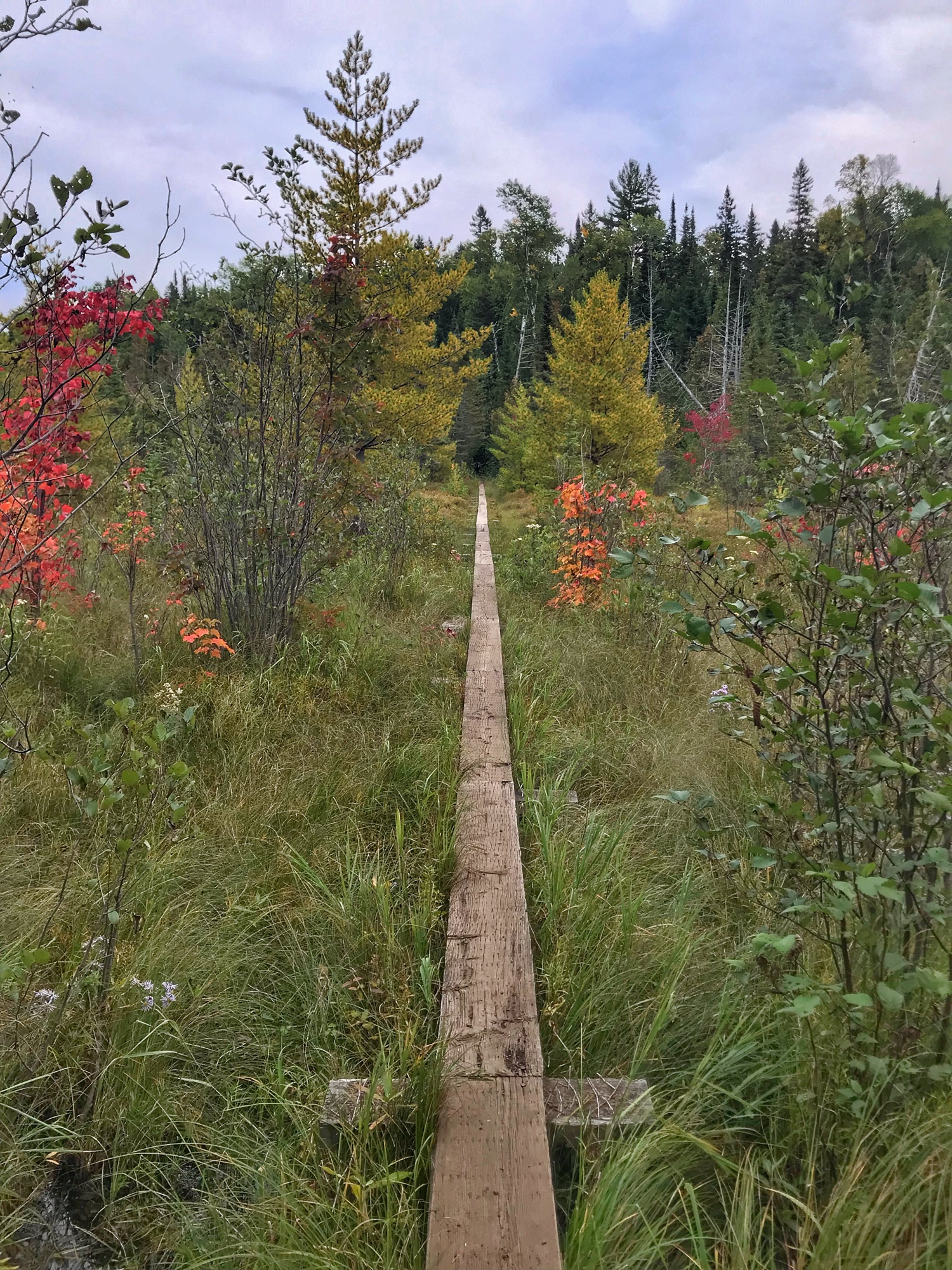 boardwalk