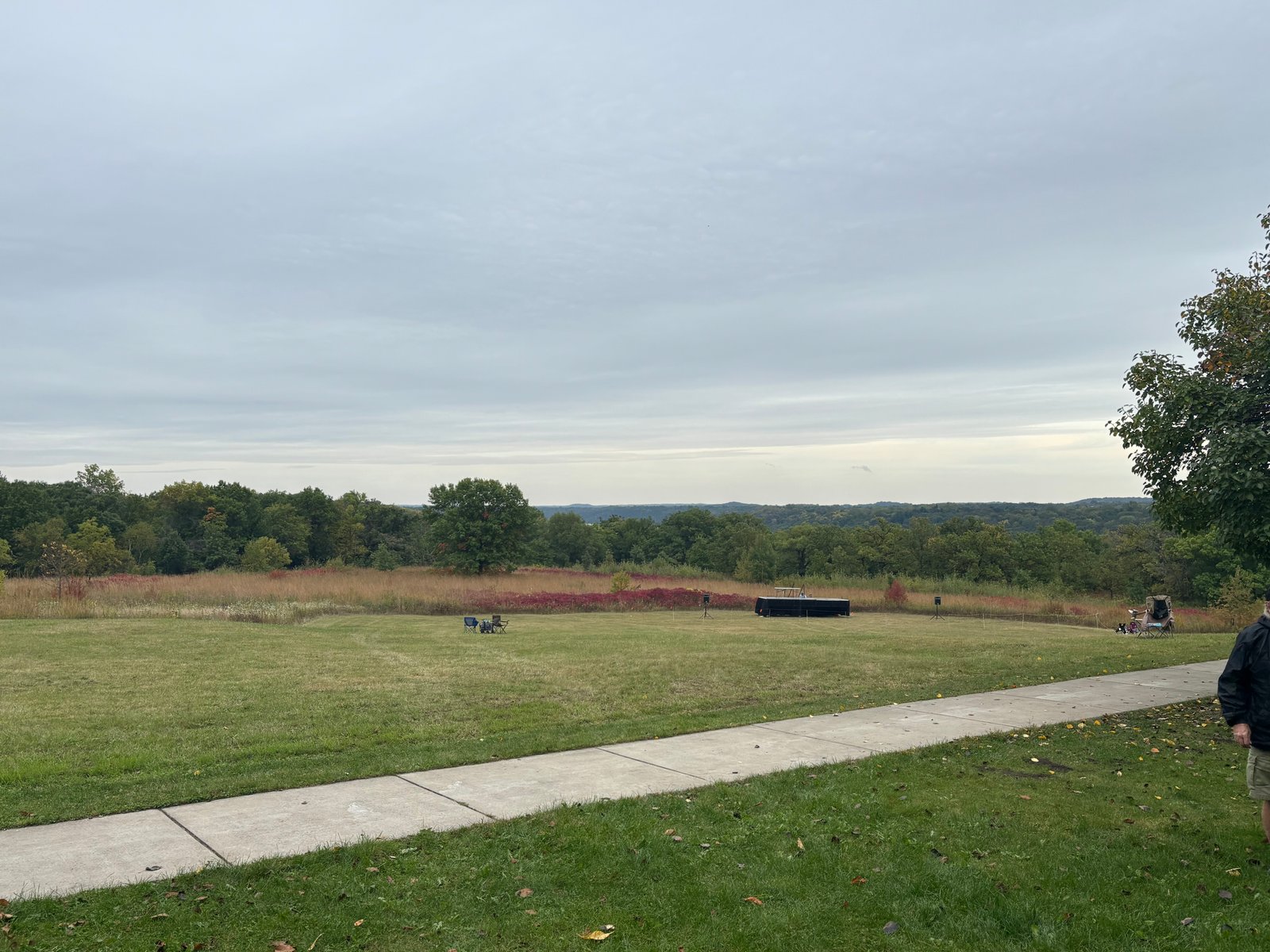 open field